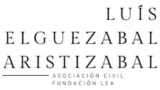 Fundacion-Luis-Elguezabal-Aristizabal-LEA.webp